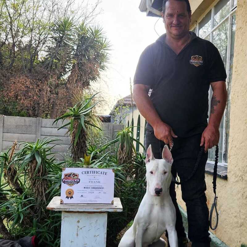 Frank - Geneal Obedience Training