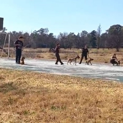 GROUP Training